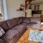 Wohlfuehl-zuhause Fuer Hund Und Mensch *