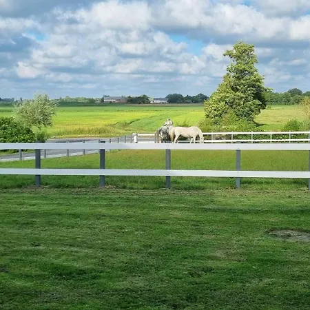 Wohlfühl-zuhause Für Hund Und Mensch Ferienhaus *