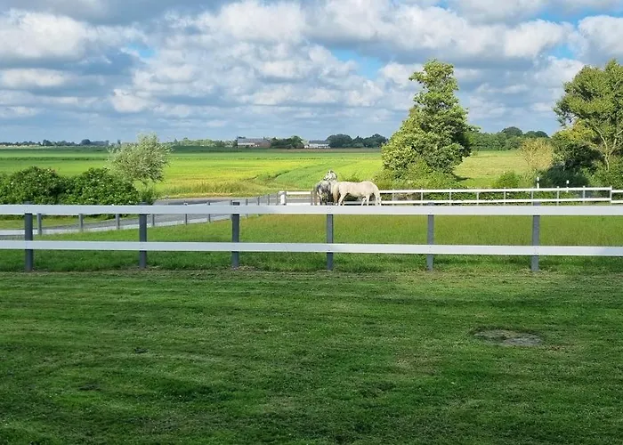 Wohlfühl-zuhause Für Hund Und Mensch Сasa de vacaciones *